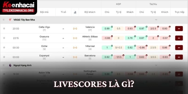 Livescores là gì?